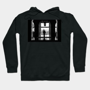 Pink Palace Study 3 Hoodie